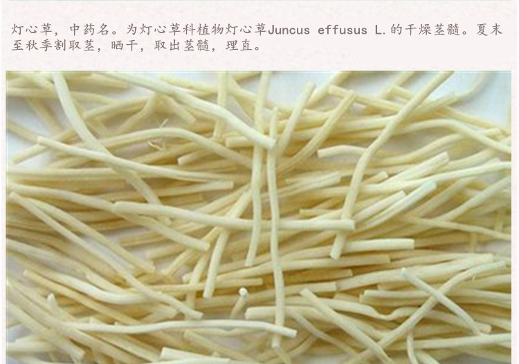 灯芯草4.jpg