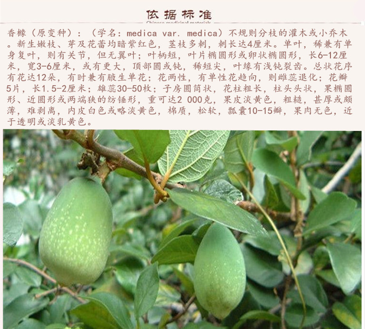 瘦瘦9.jpg