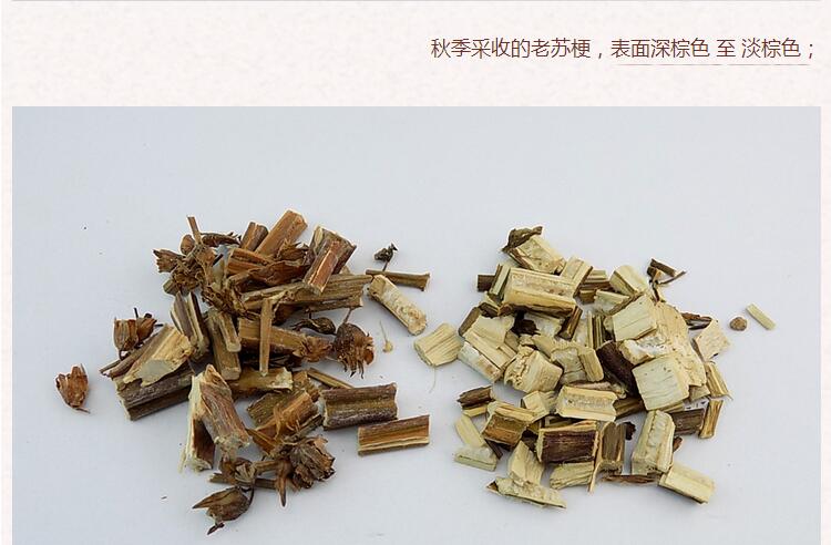 紫苏梗3.jpg