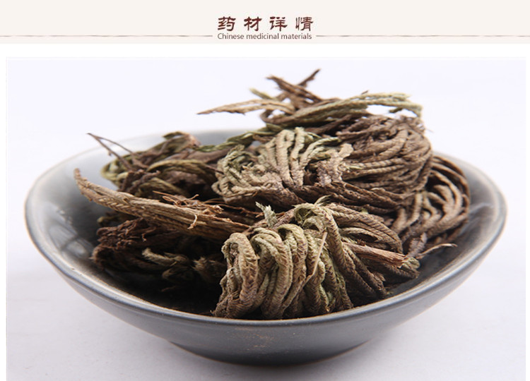 卷柏2.jpg