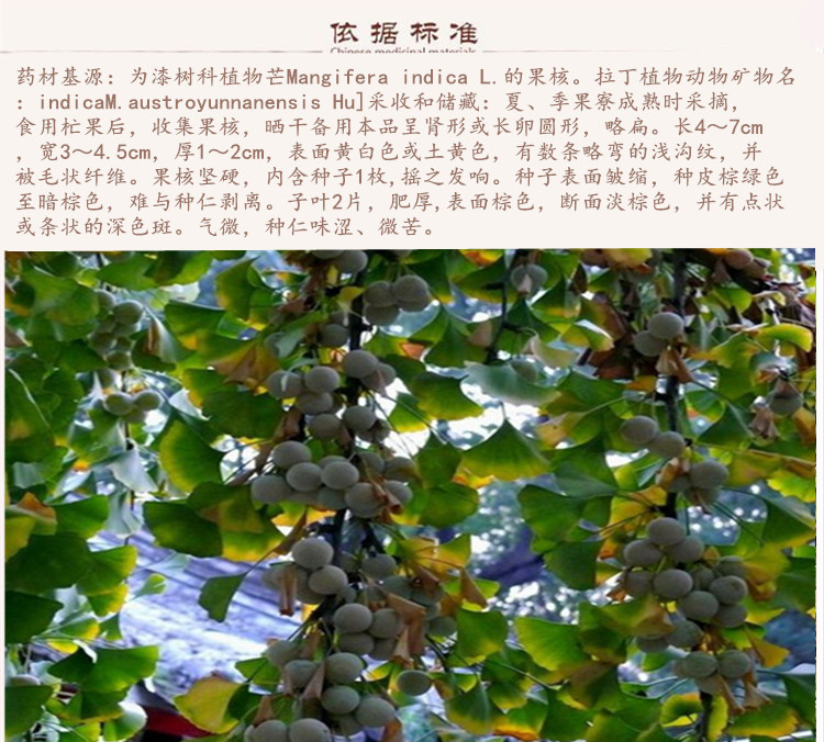 芒果核9.jpg