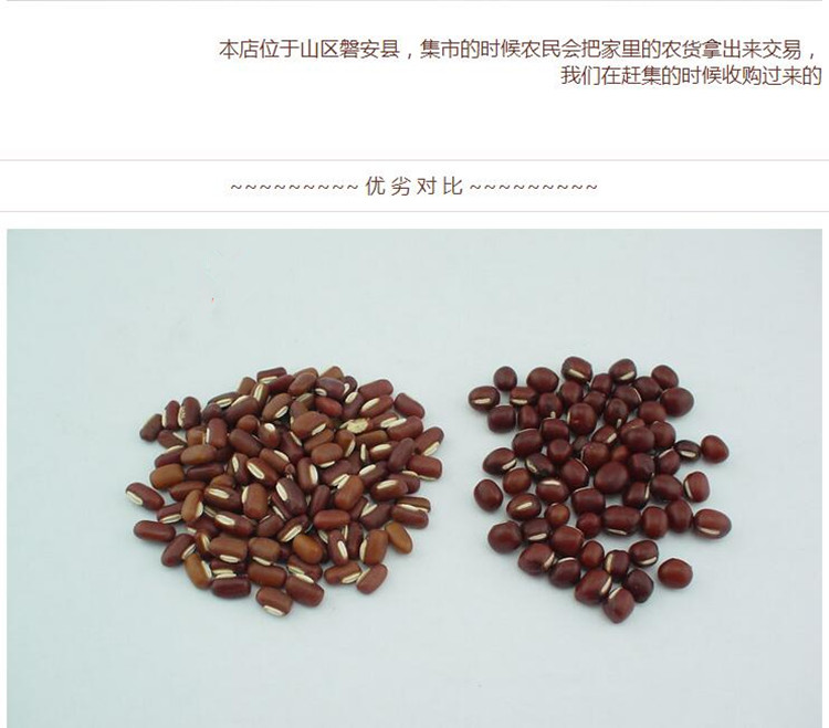 赤小豆4.jpg
