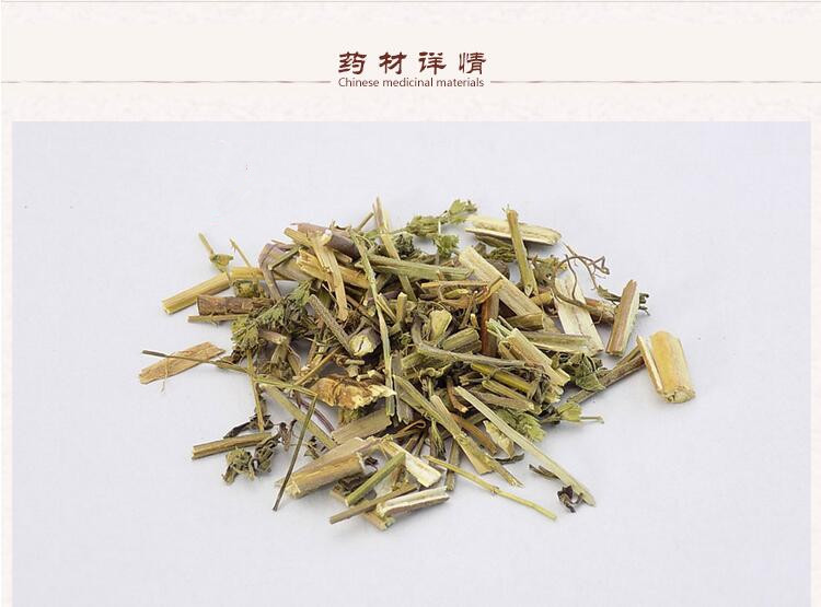 荆芥2.jpg