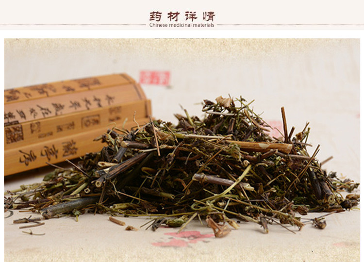 青叶胆2.jpg