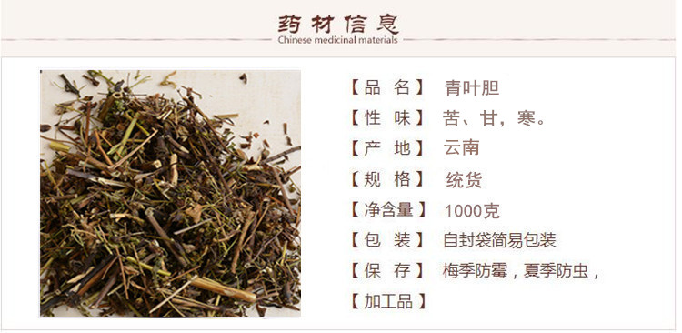 青叶胆1.jpg