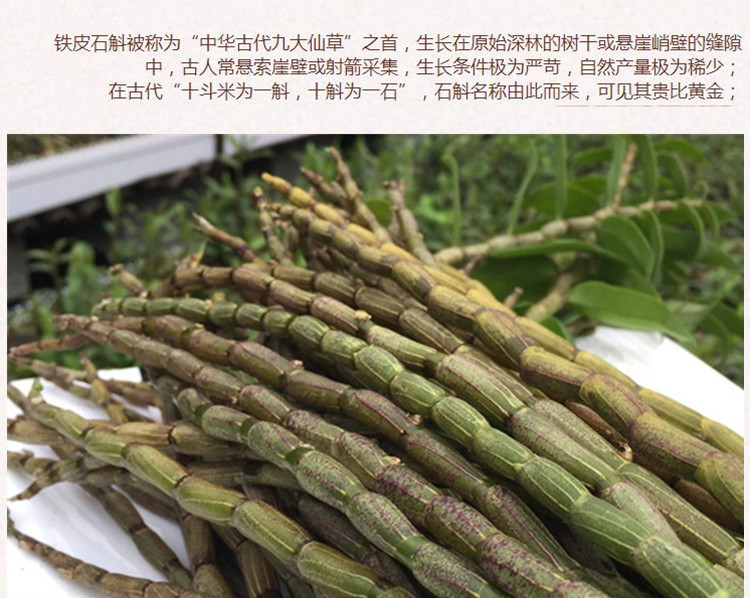 雁荡山石斛鲜条4.jpg
