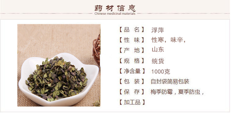 浮萍1.jpg