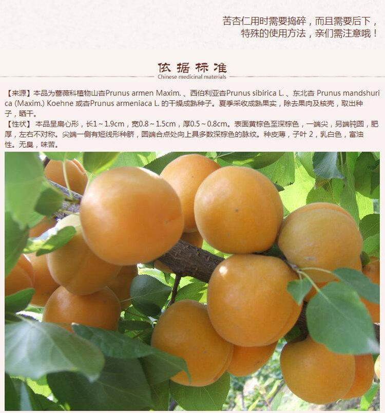 苦杏仁7.jpg