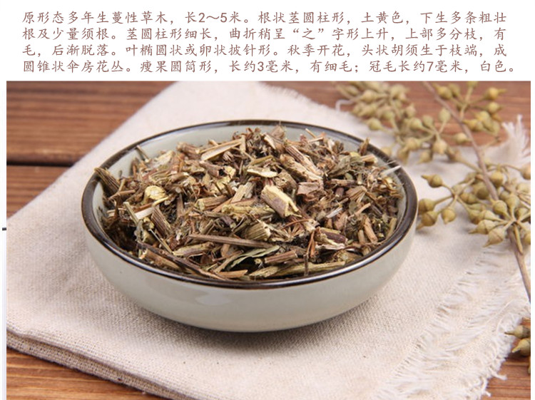 千里光5.jpg