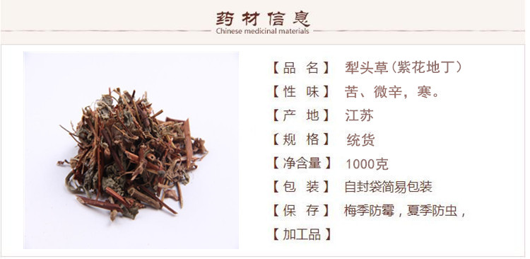 犁草1.jpg