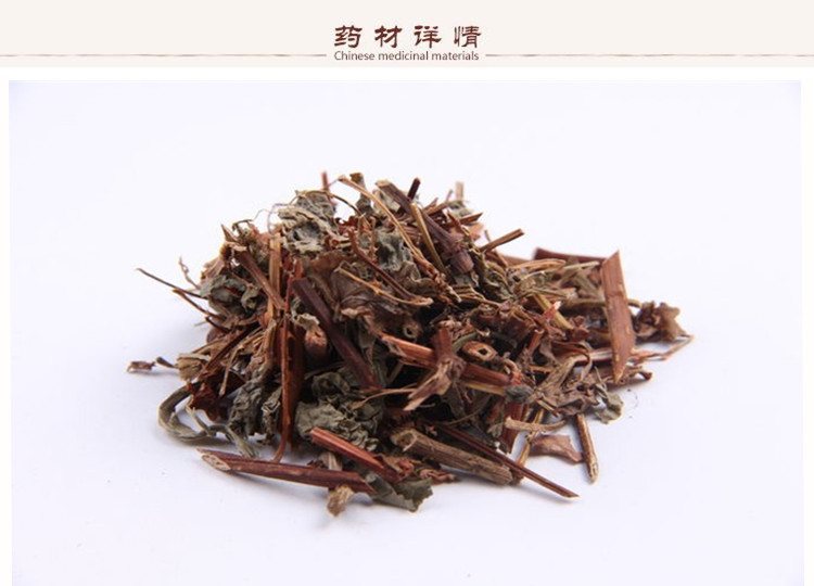 犁头草2.jpg