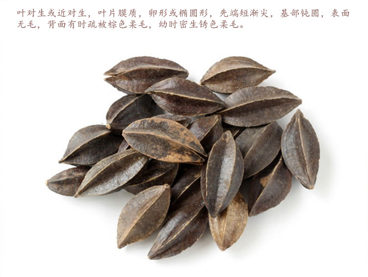 使君4.jpg