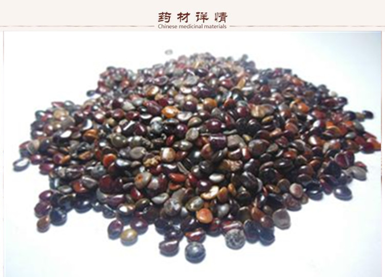 枳椇子2.jpg