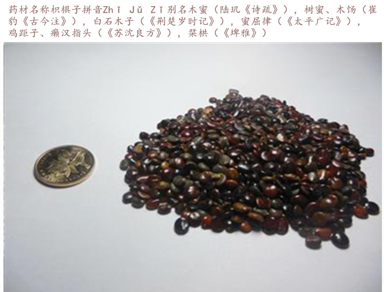 枳椇子3.jpg