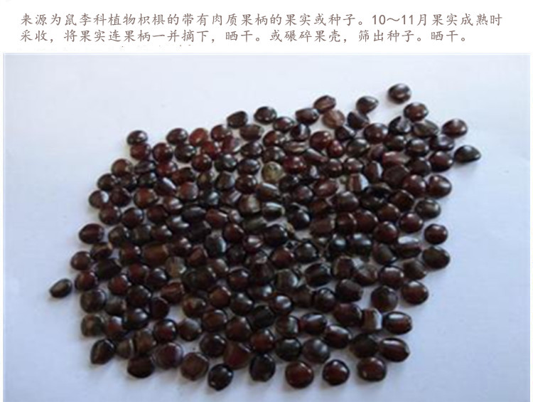 枳椇子4.jpg