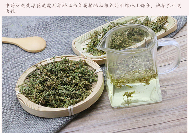 赶黄花4.jpg