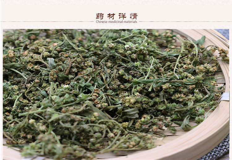 赶黄花2.jpg
