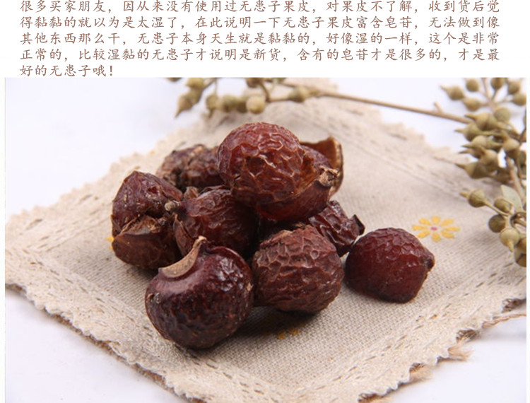 无患子果皮3.jpg