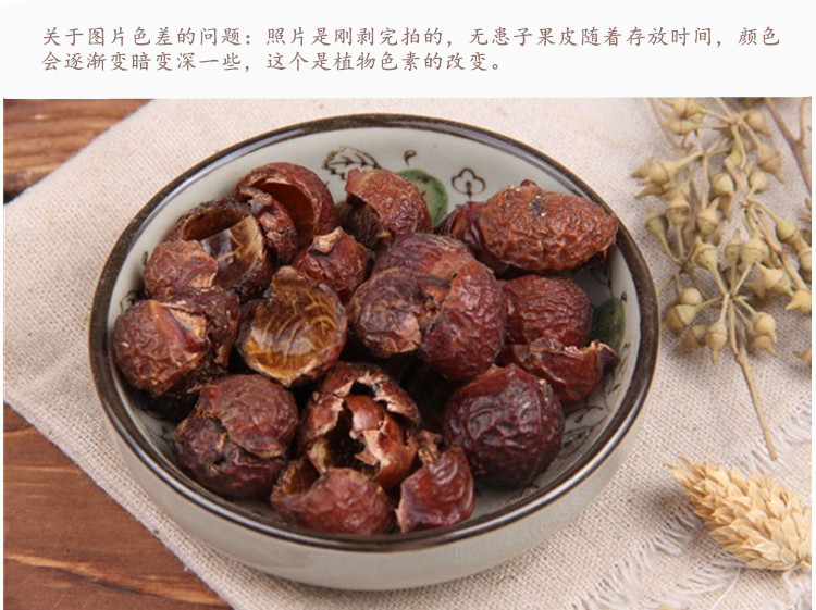 无患子果皮5.jpg