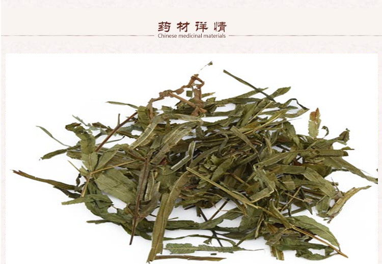 凤尾草2.jpg