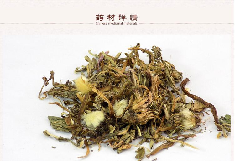 蒲公英2.jpg