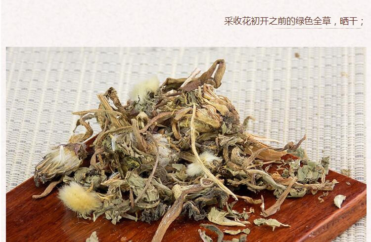 蒲公英4.jpg