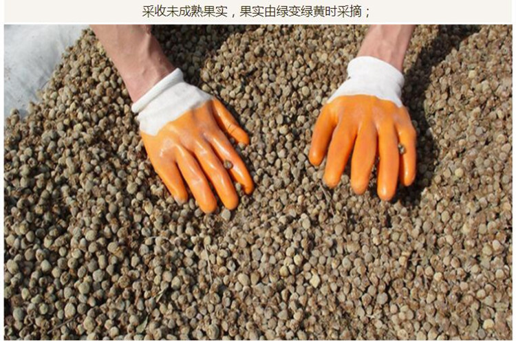 浙覆盆子统货4.jpg