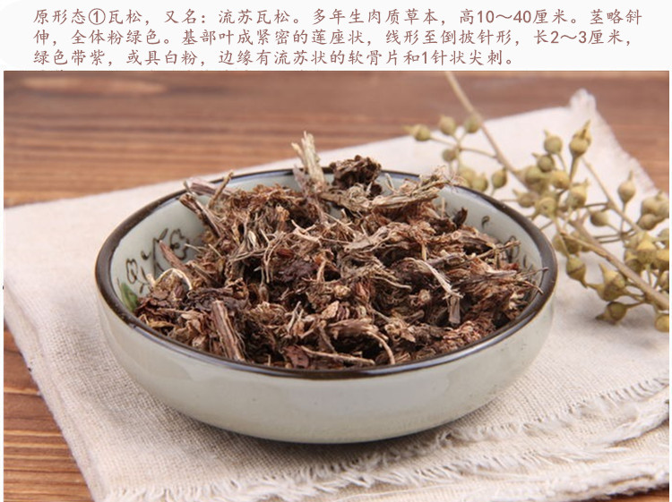 瓦松5.jpg