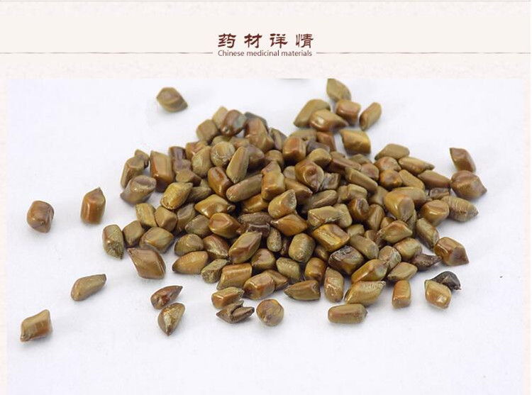决明子2.jpg