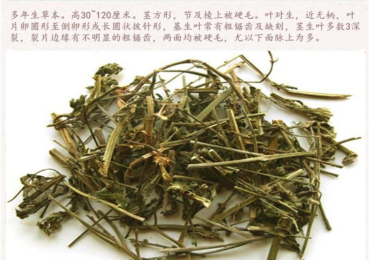 马鞭草4.jpg