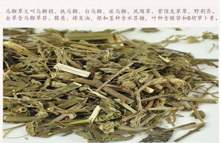 马鞭草3.jpg
