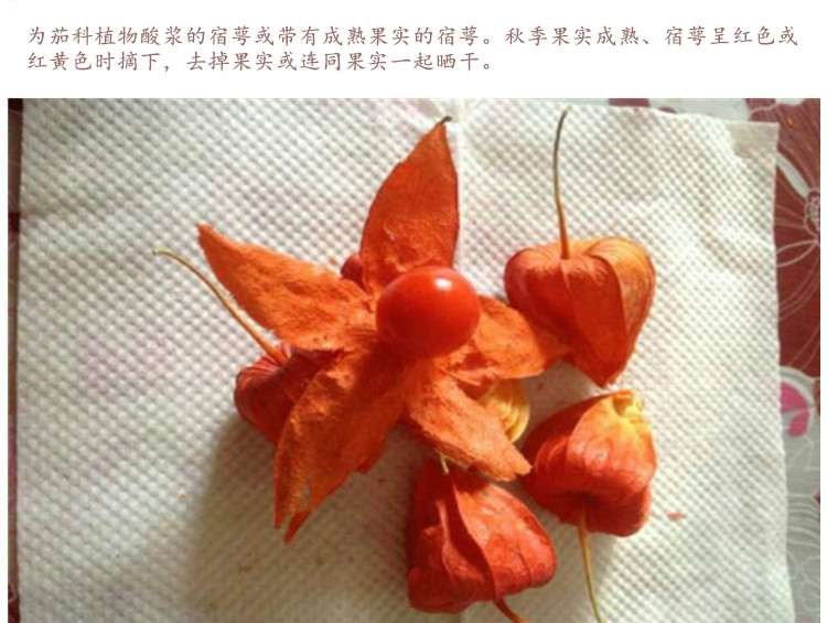 挂金灯4.jpg