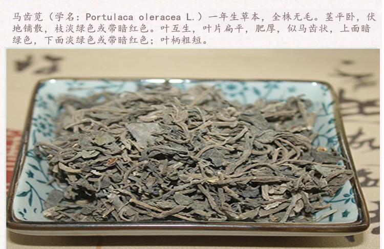 马齿苋3.jpg