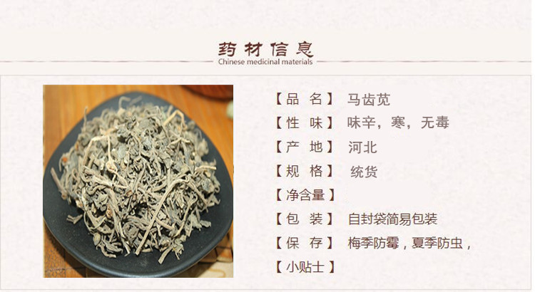马齿苋1.jpg