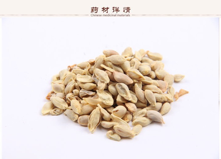 桔核2.jpg
