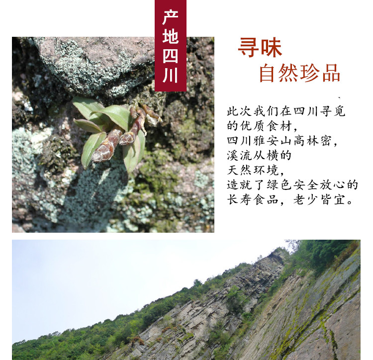 新石斛6.jpg