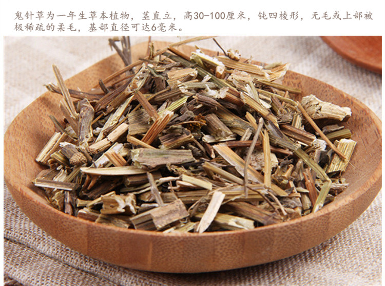 鬼针草5.jpg