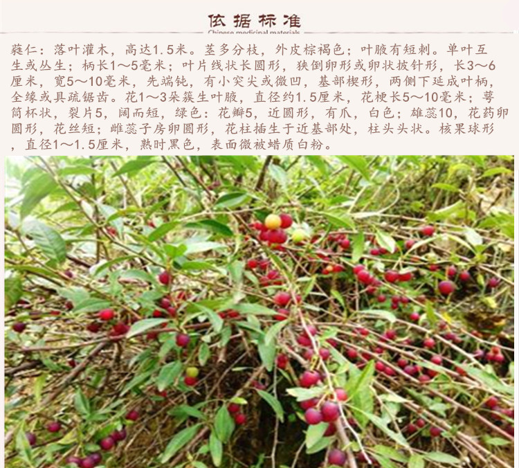 芮仁9.jpg