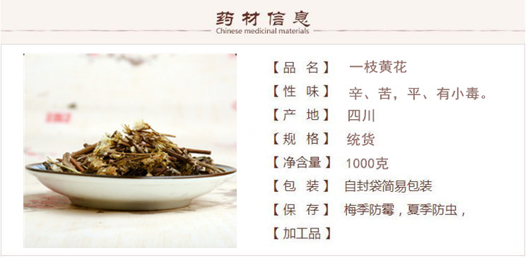 一枝黄花1.jpg