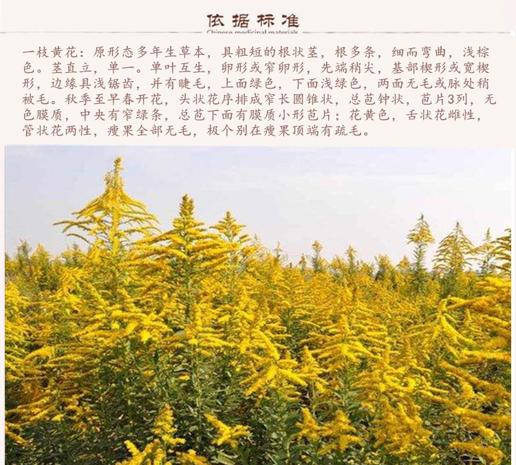 详情首图.jpg