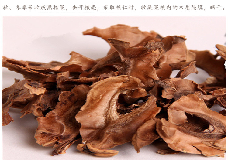 分心木4.jpg