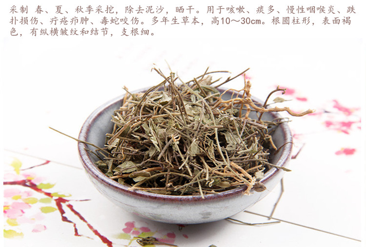 小远志6.jpg