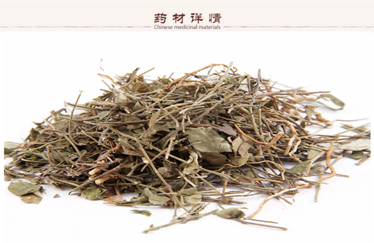 小远志3.jpg