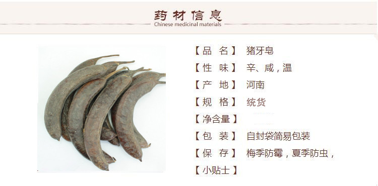 猪牙皂1_副本.jpg