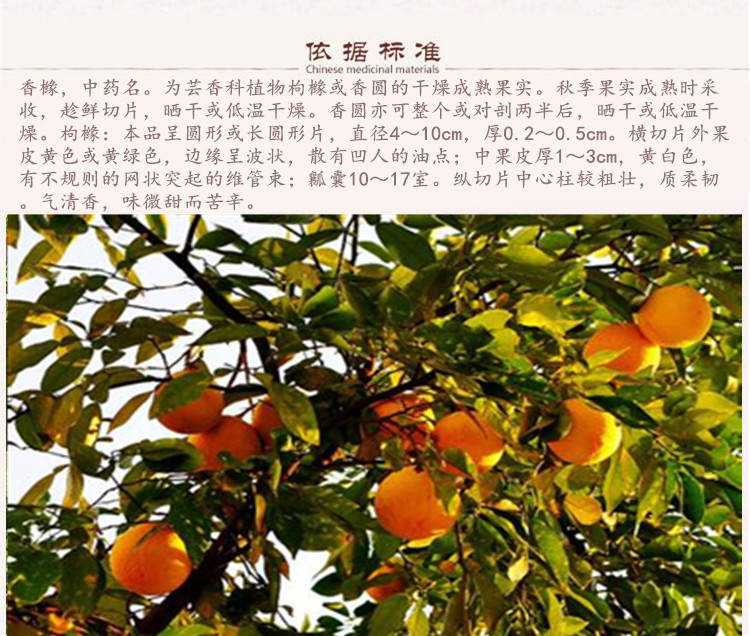 香橼5.jpg