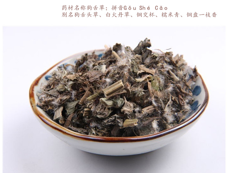 狗舌草3.jpg