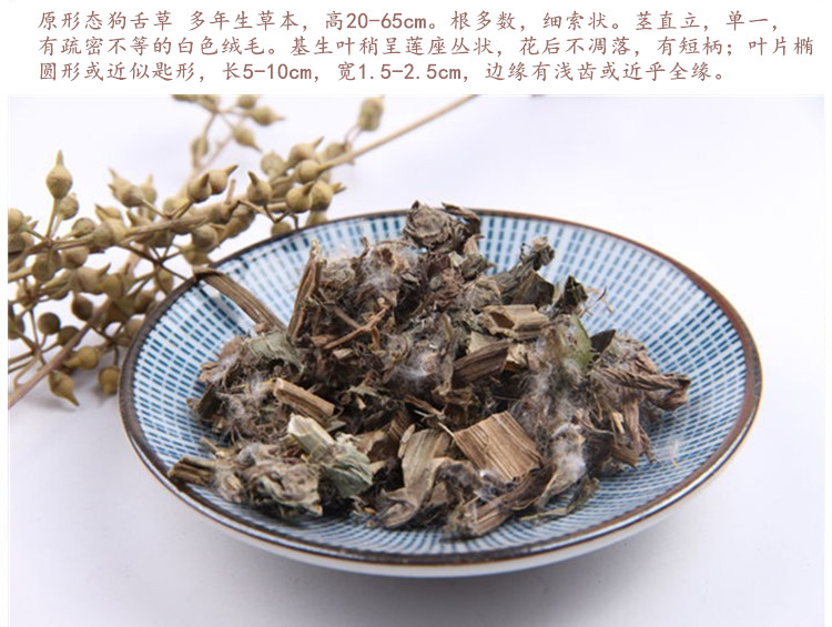 狗舌草4.jpg