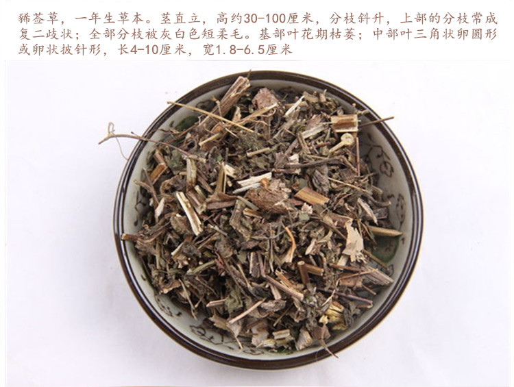豨莶草4.jpg