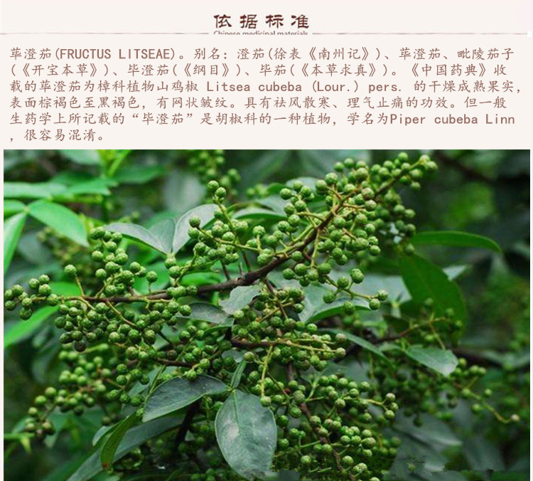 荜澄茄9.jpg