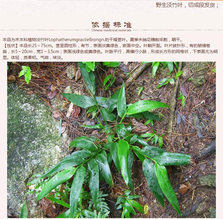 淡竹叶5.jpg